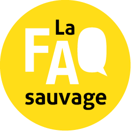 logo faq